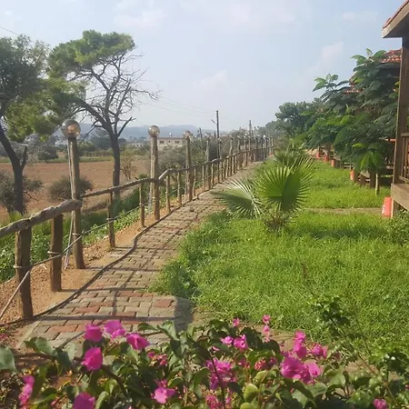 Guest house Karpaz Farm Iskele District (Northern Cyprus)