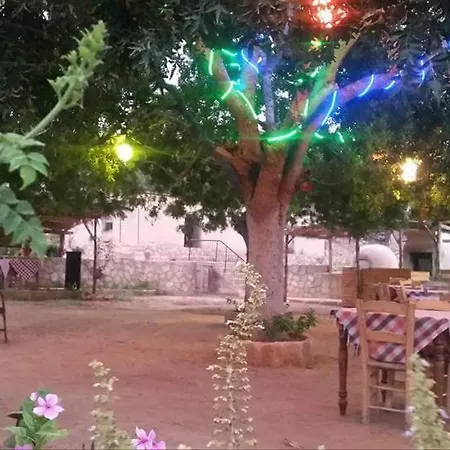 Karpaz Farm * Iskele District (Northern Cyprus)