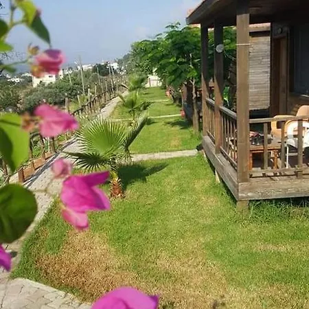 Karpaz Farm 4*