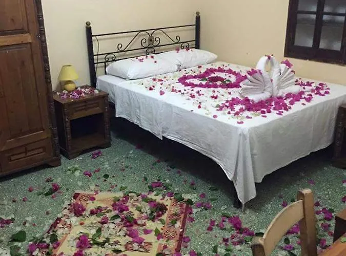 Karpaz Farm 招待所